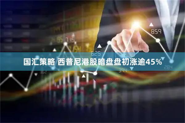 国汇策略 西普尼港股暗盘盘初涨逾45%
