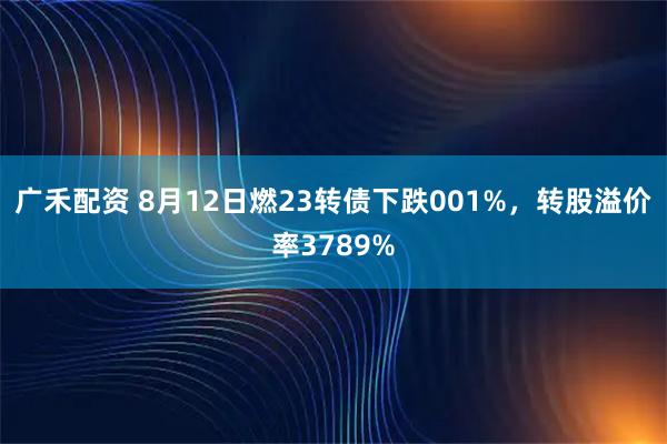广禾配资 8月12日燃23转债下跌001%，转股溢价率3789%